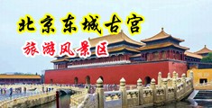 自拍偷拍美女大秀gif中国北京-东城古宫旅游风景区